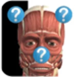 Logo of Anatomy Quiz Lite android Application 