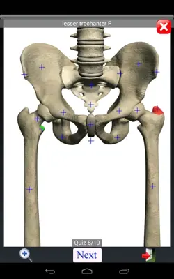 Anatomy Quiz Lite android App screenshot 0