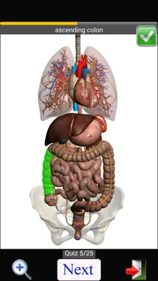 Anatomy Quiz Lite android App screenshot 9