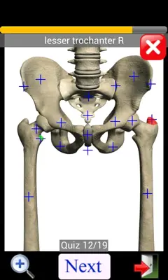 Anatomy Quiz Lite android App screenshot 10