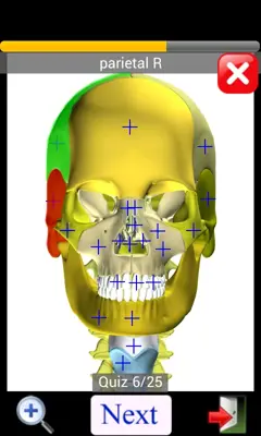 Anatomy Quiz Lite android App screenshot 11