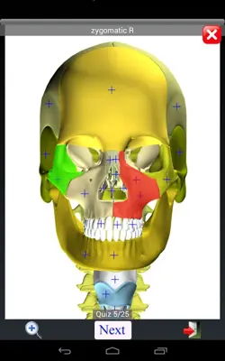 Anatomy Quiz Lite android App screenshot 1