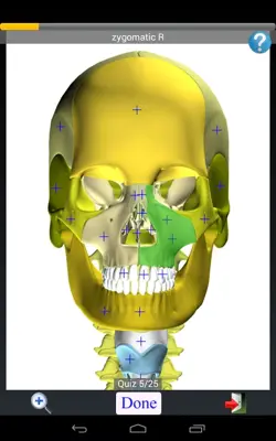 Anatomy Quiz Lite android App screenshot 2