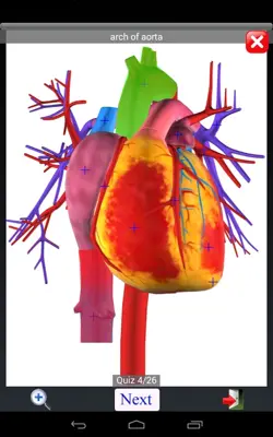 Anatomy Quiz Lite android App screenshot 3