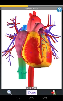 Anatomy Quiz Lite android App screenshot 4