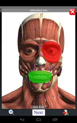 Anatomy Quiz Lite android App screenshot 5