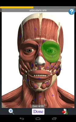 Anatomy Quiz Lite android App screenshot 6